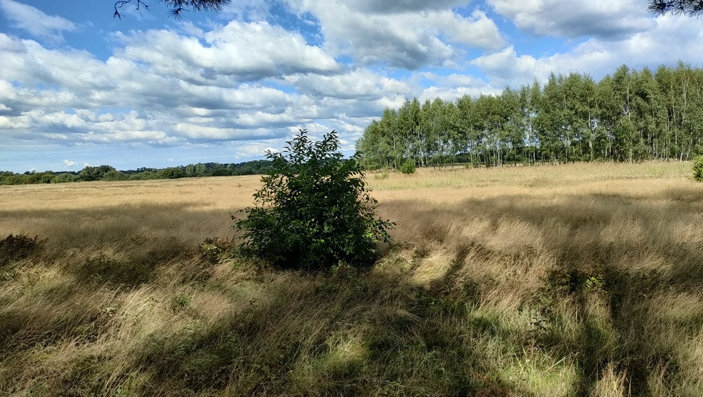 Działka Sprzedaż Komarowo 6