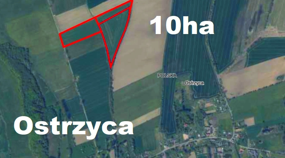 Działka Sprzedaż Ostrzyca