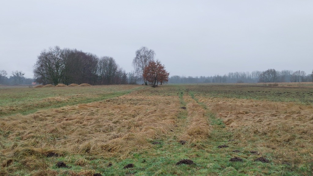 Działka Sprzedaż Wieńkowo