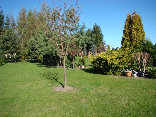 Obiekt Wynajem Kołbaskowo 26