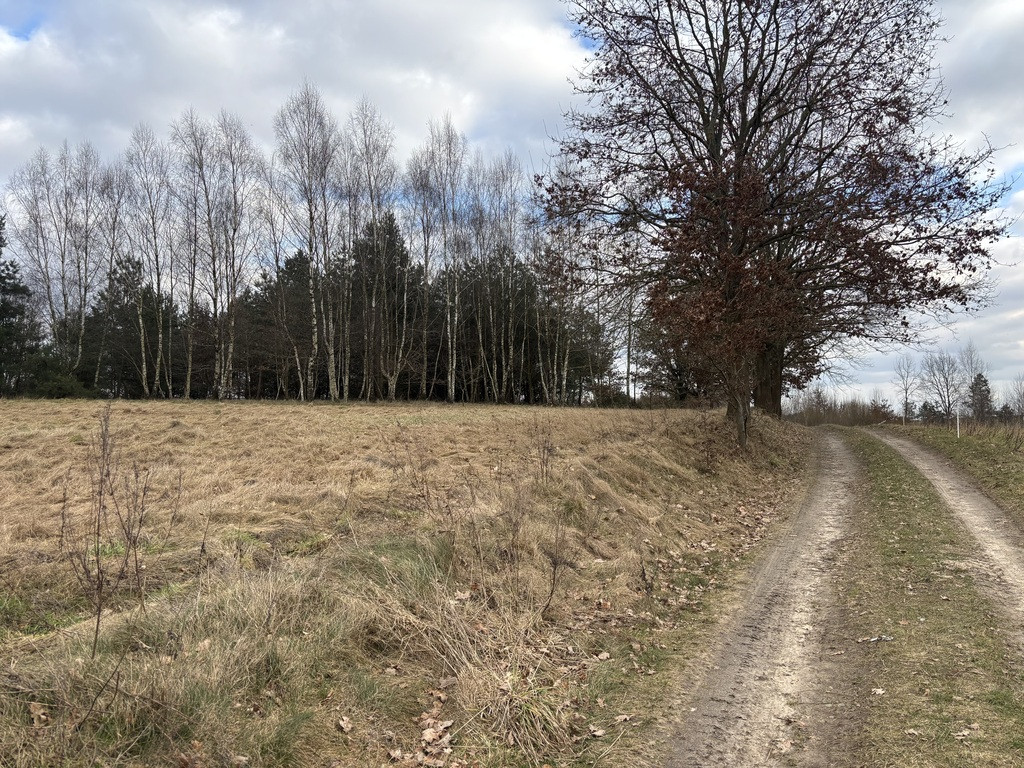 Działka Sprzedaż Kikorze 9