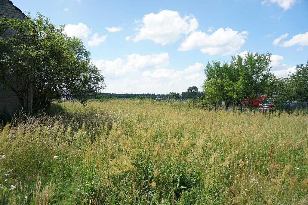Obiekt Sprzedaż Goleniów 8