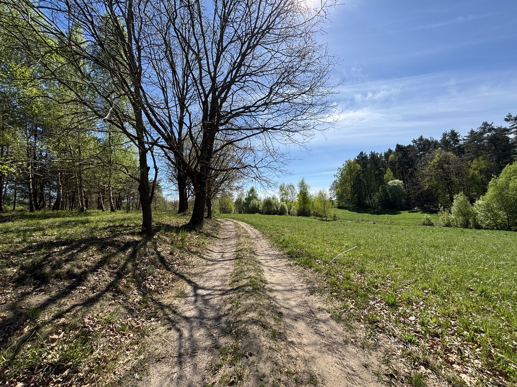 Działka Sprzedaż Kikorze 4