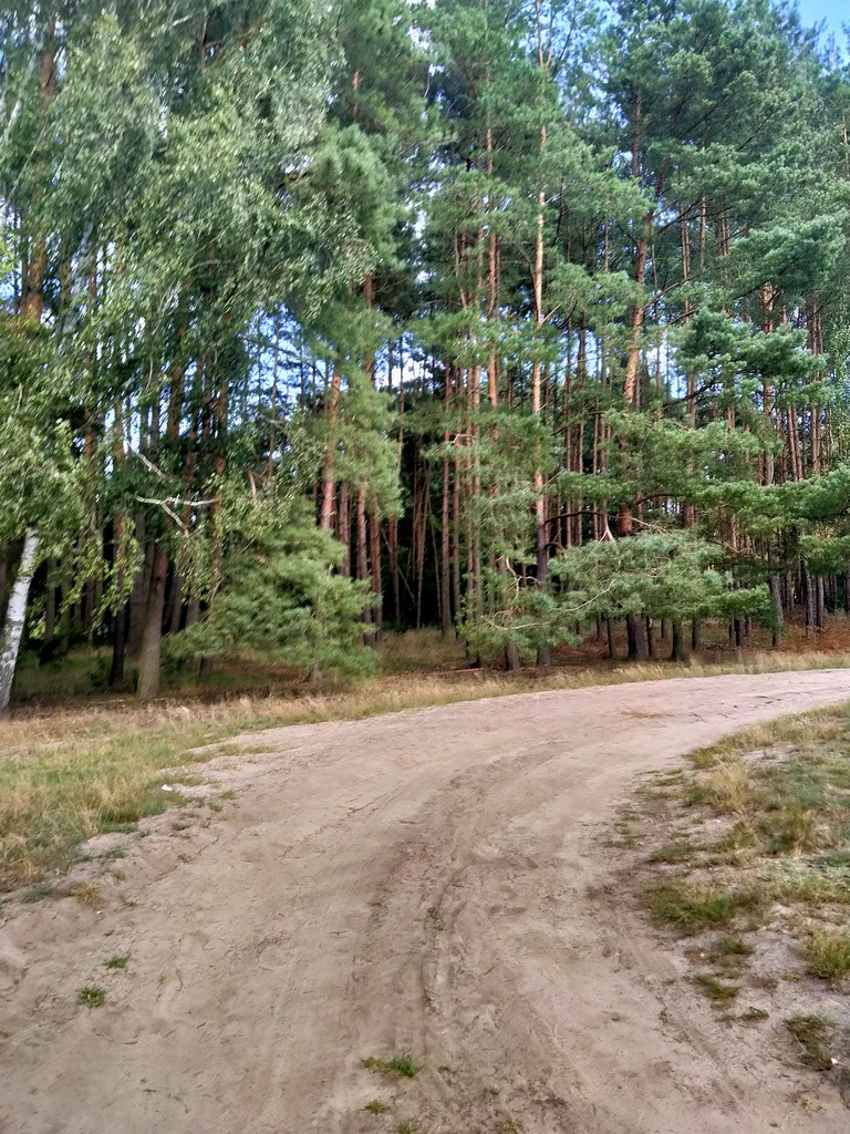 Działka Sprzedaż Tanowo Szczecińska 3