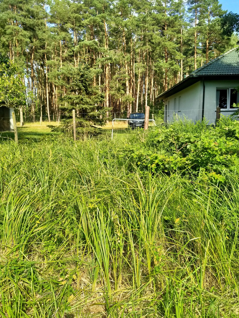 Działka Sprzedaż Tanowo Szczecińska 6