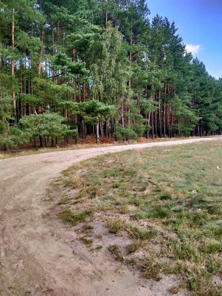 Działka Sprzedaż Tanowo Szczecińska 8
