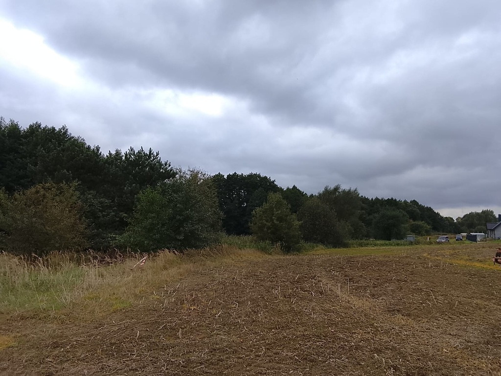 Działka Sprzedaż Stara Dąbrowa 16