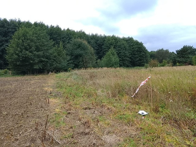 Działka Sprzedaż Stara Dąbrowa 18