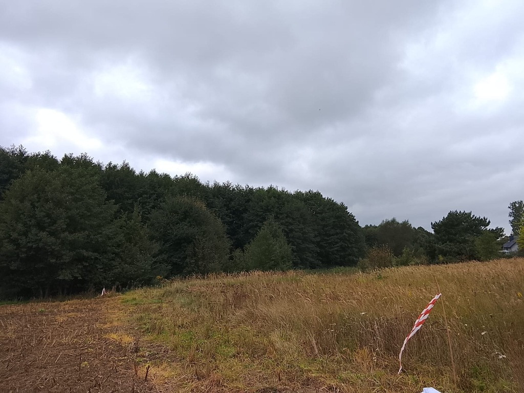 Działka Sprzedaż Stara Dąbrowa 21