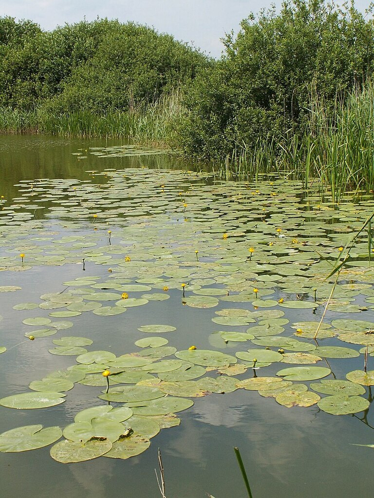 Działka Sprzedaż Giżyn 4