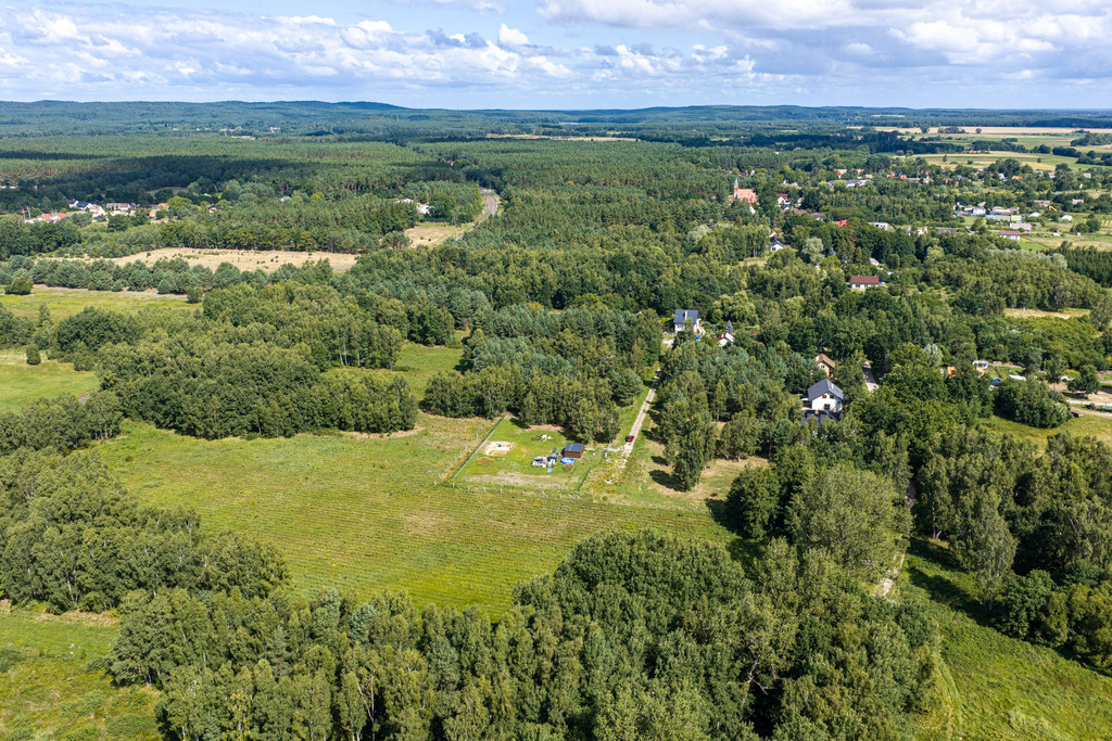 Działka Sprzedaż Ładzin 2