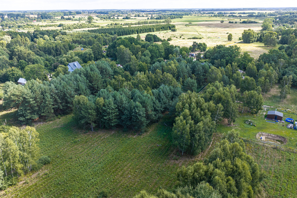 Działka Sprzedaż Ładzin 17