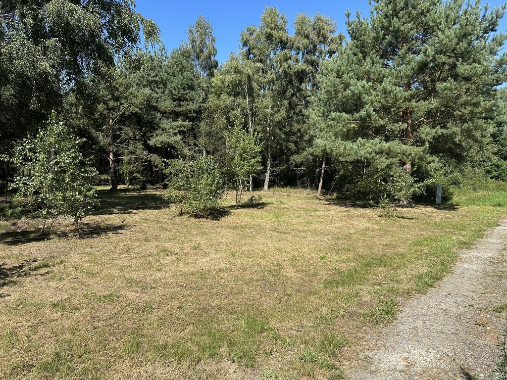 Działka Sprzedaż Ładzin 5