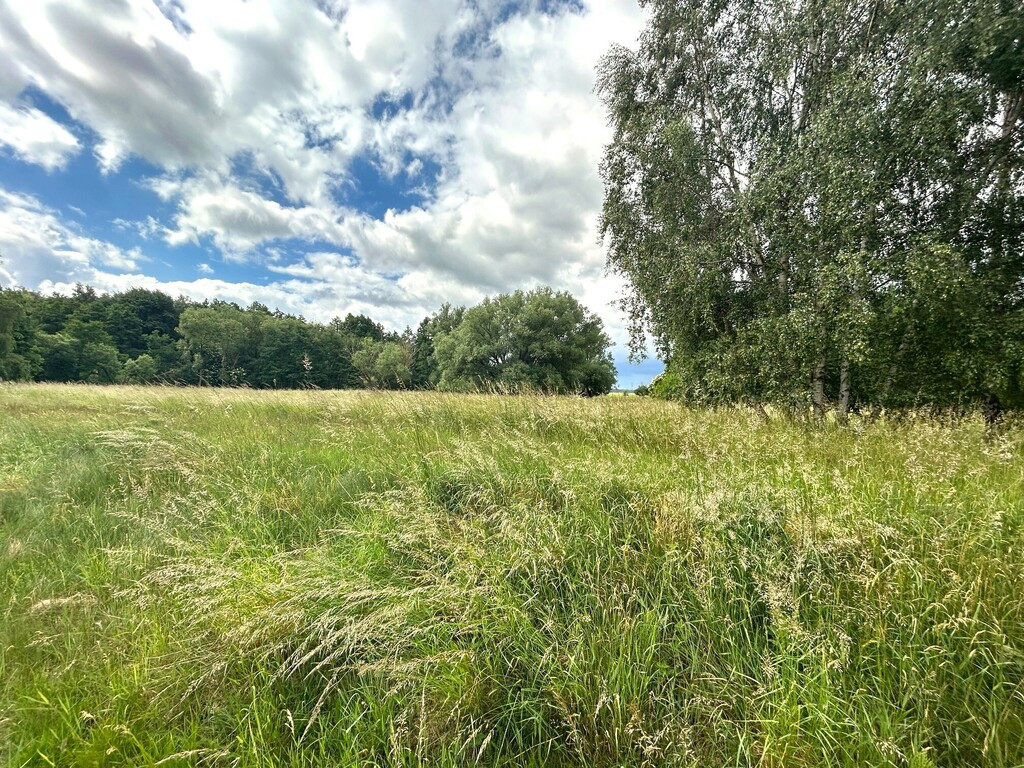 Działka Sprzedaż Nowe Warpno 2