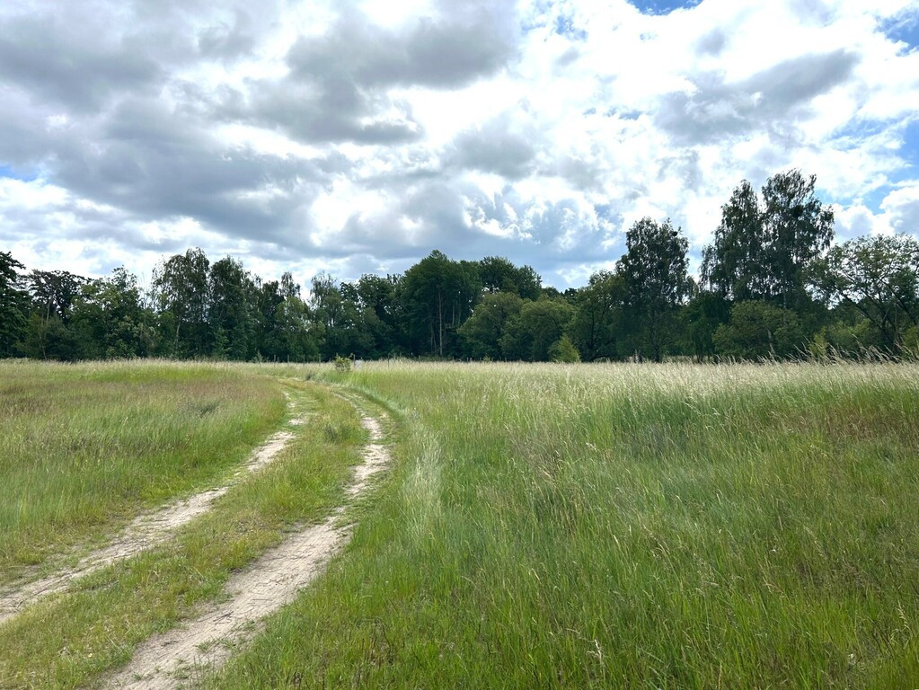 Działka Sprzedaż Nowe Warpno 5