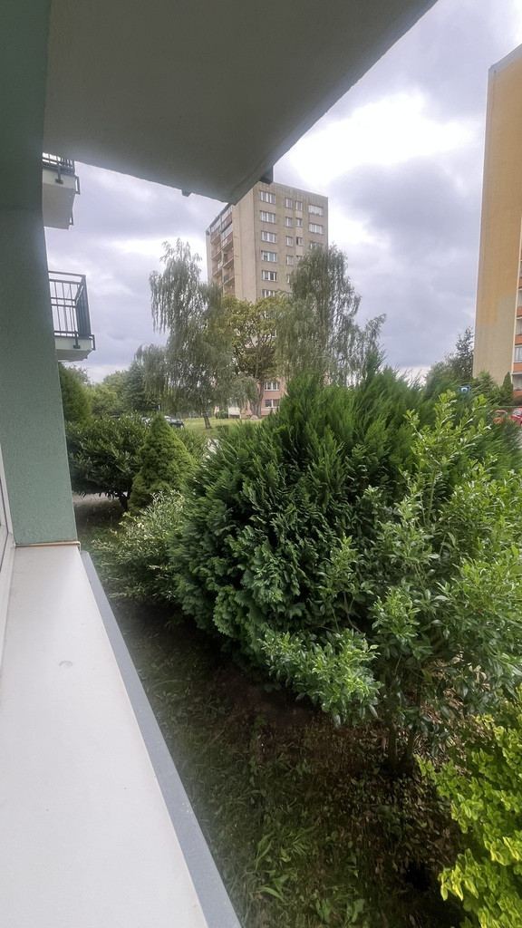 Mieszkanie Sprzedaż Szczecin Książąt Pomorskich 16