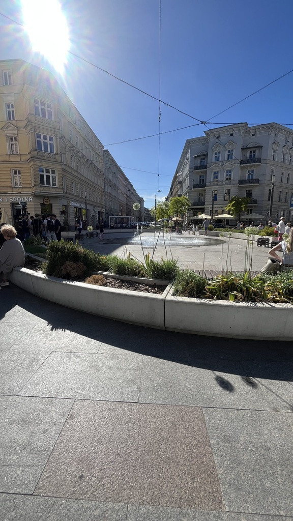 Lokal Wynajem Szczecin Centrum 1