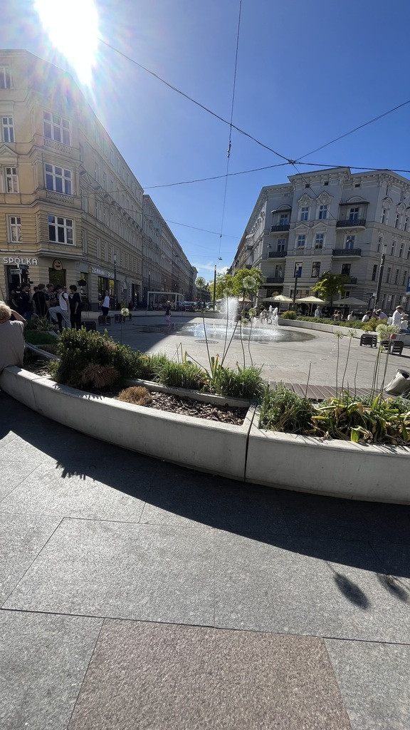 Lokal Wynajem Szczecin Centrum 13