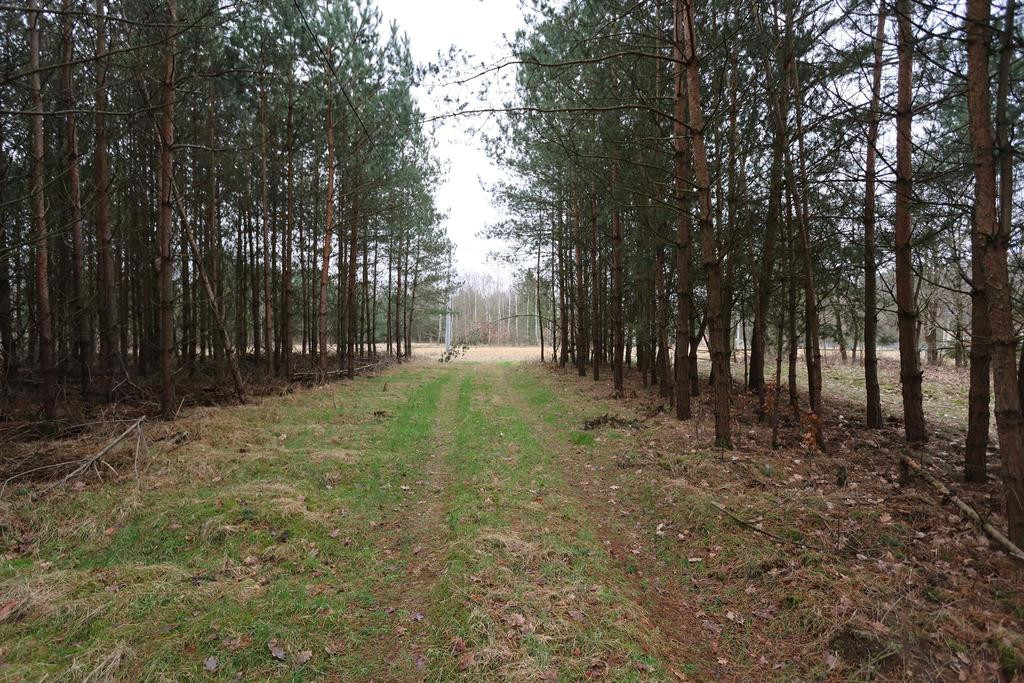 Działka Sprzedaż Krzywice 7