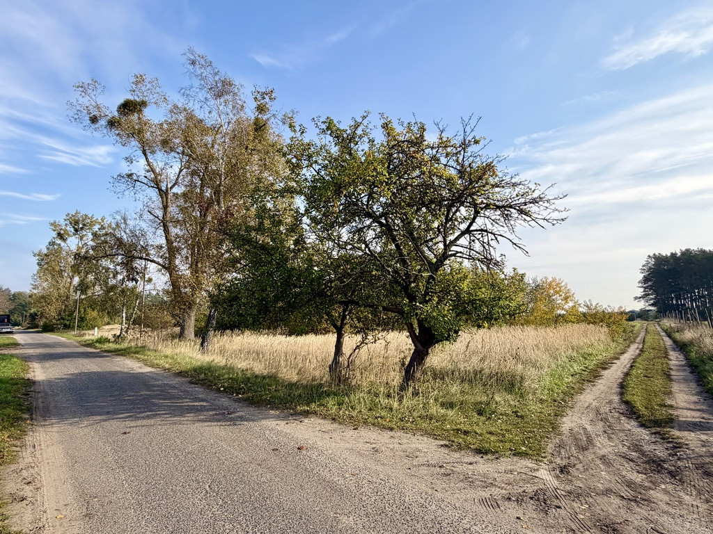 Działka Sprzedaż Miękowo 11