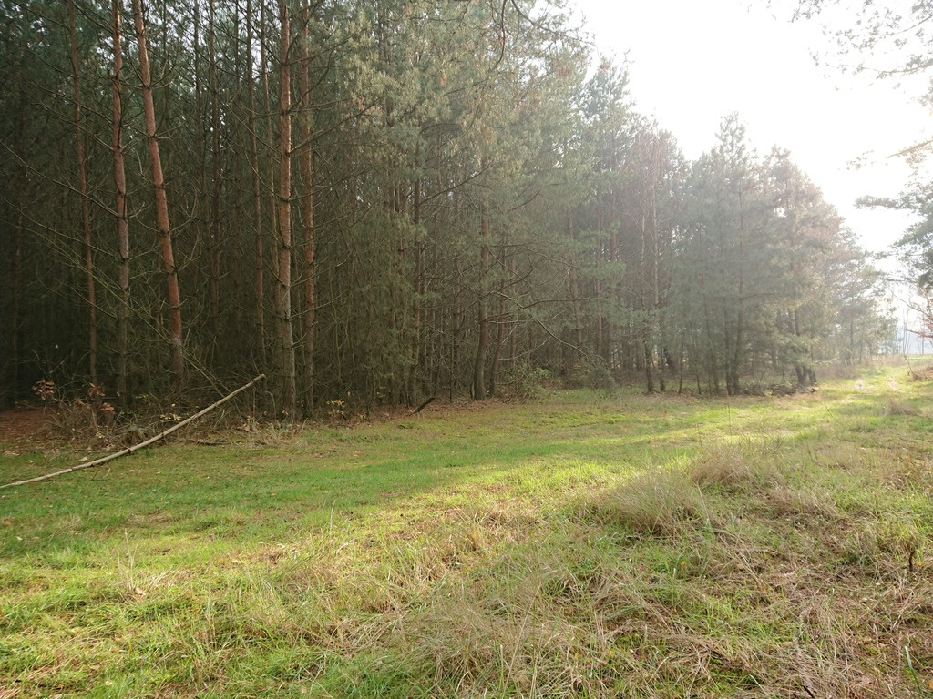 Działka Sprzedaż Starzyce 4