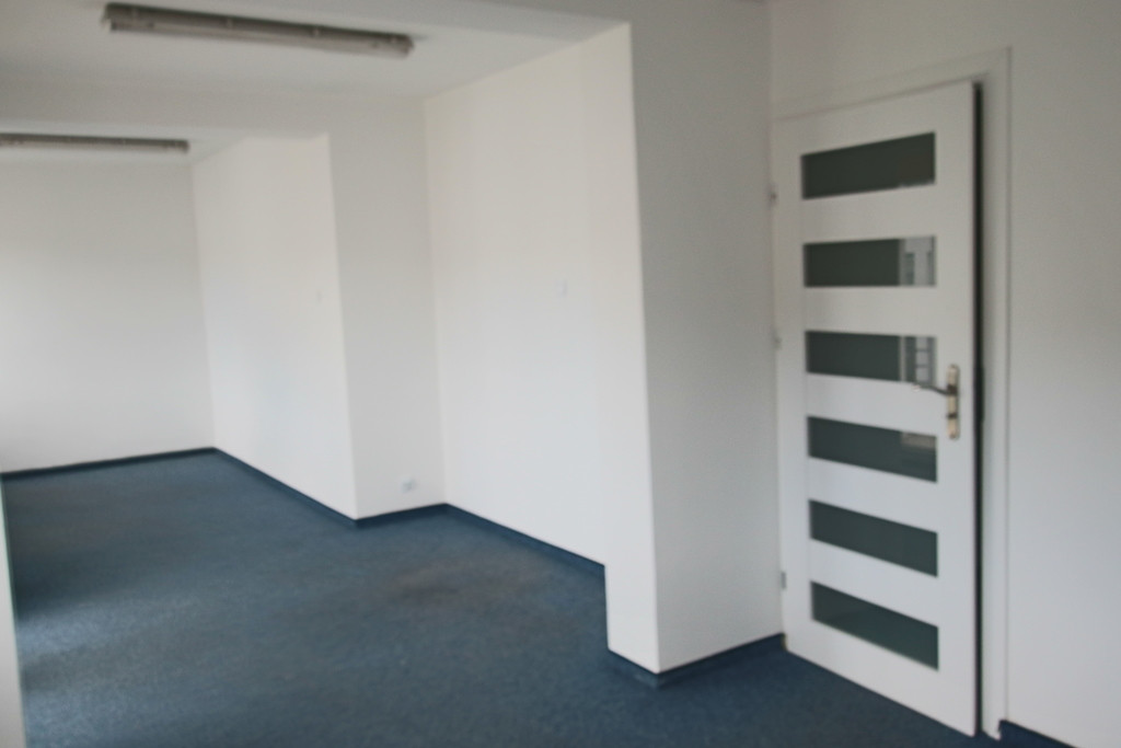 Lokal Wynajem Szczecin Centrum 8