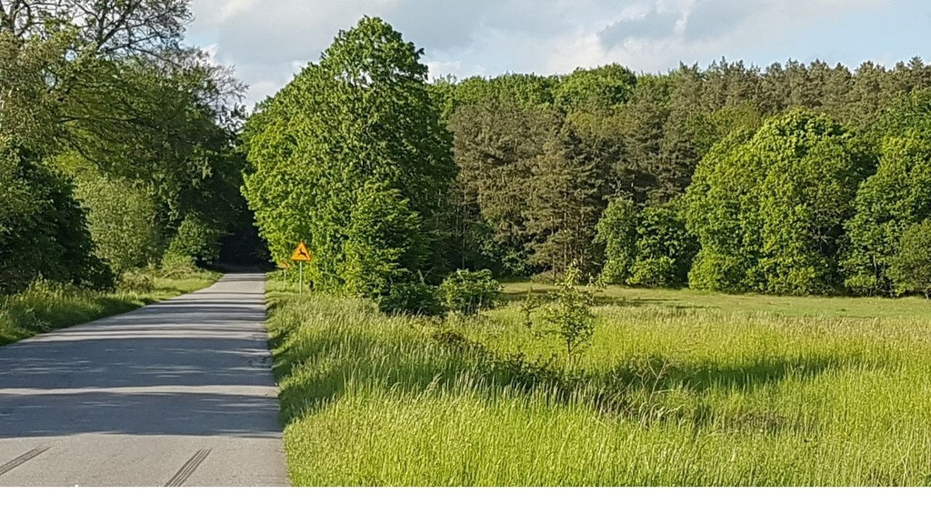 Działka Sprzedaż Swobnica 2