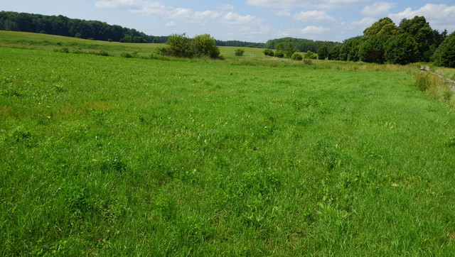 Działka Sprzedaż Bobolice 11