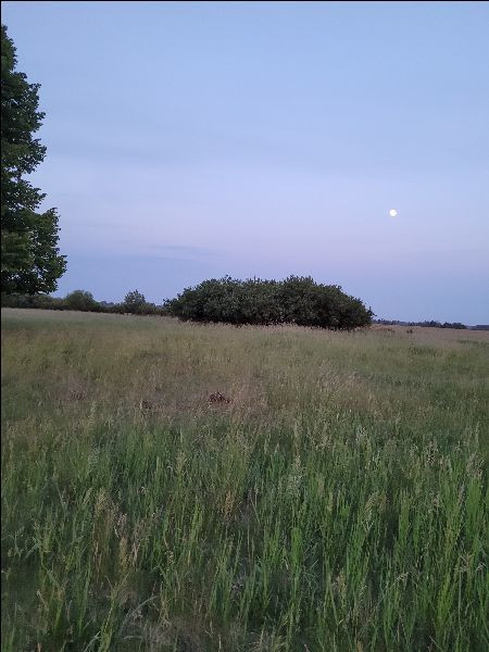 Działka Sprzedaż Lubczyna 4