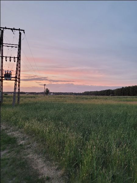 Działka Sprzedaż Lubczyna 8