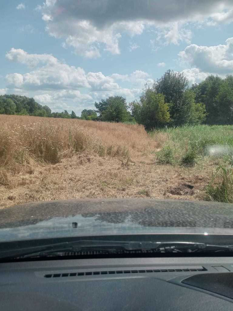 Działka Sprzedaż Stara Dąbrowa 9