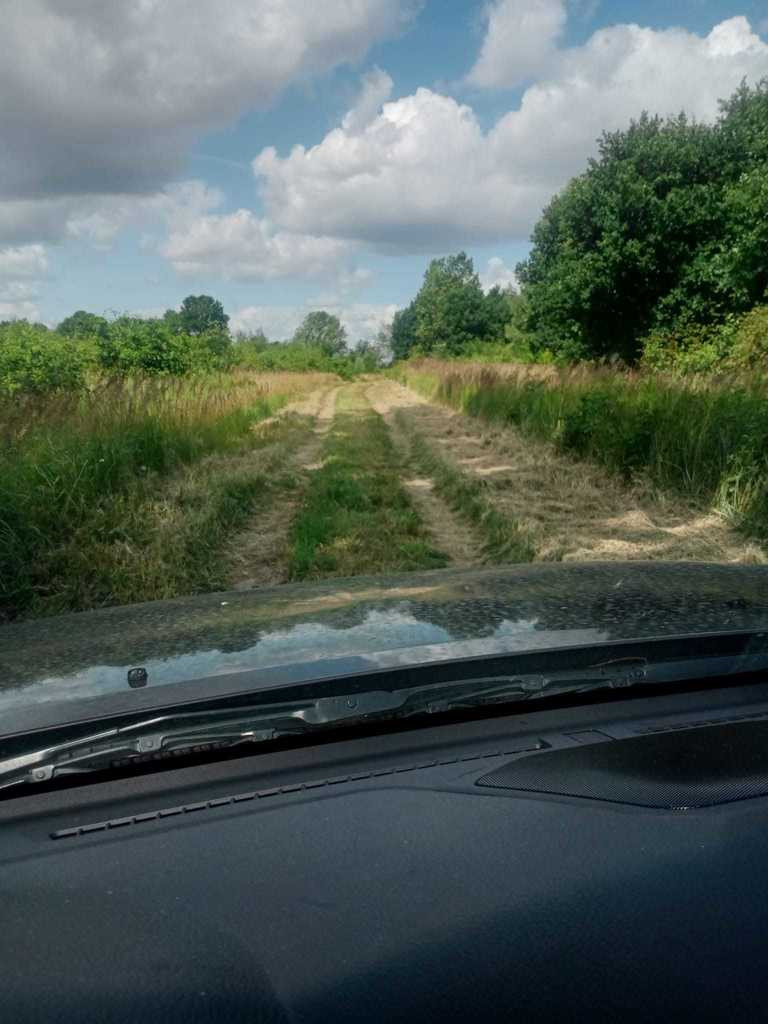 Działka Sprzedaż Stara Dąbrowa 12