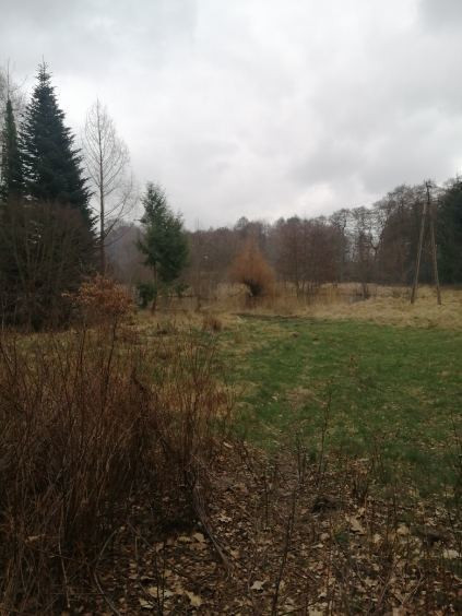 Działka Sprzedaż Stawno 4