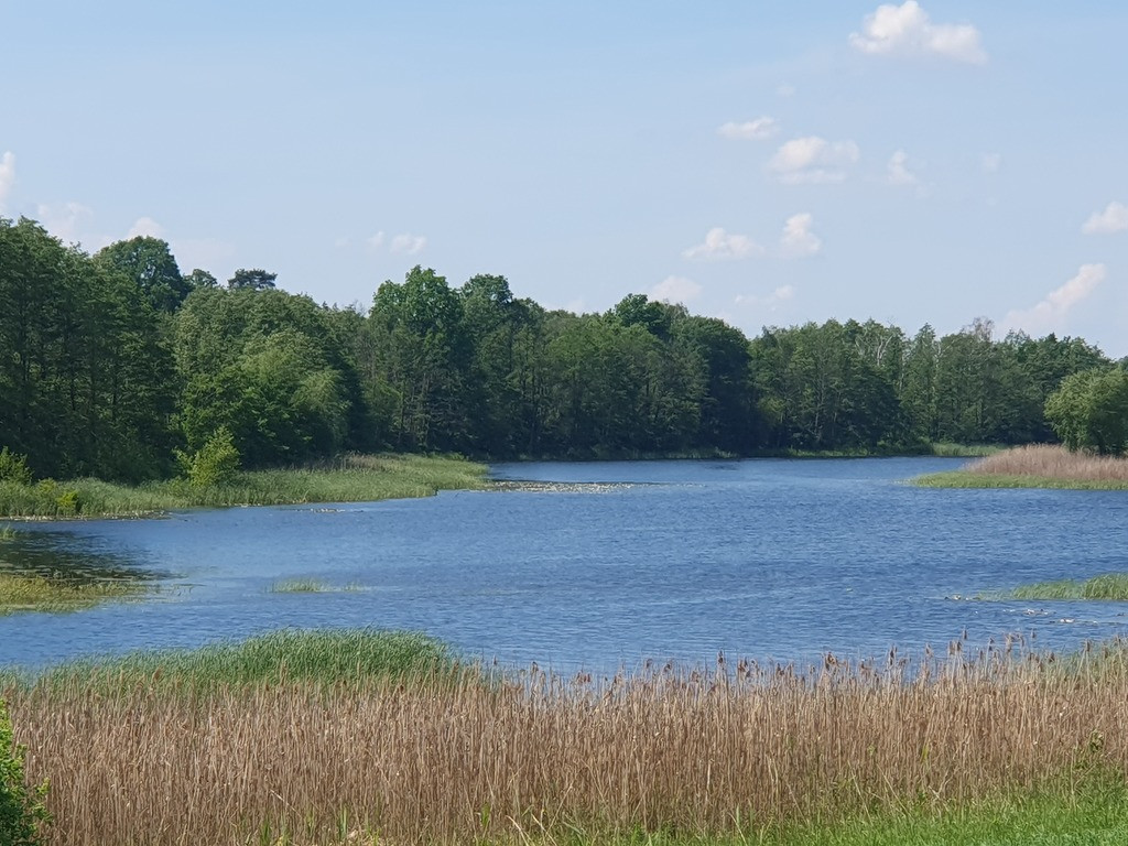Działka Sprzedaż Zieleniewo 4