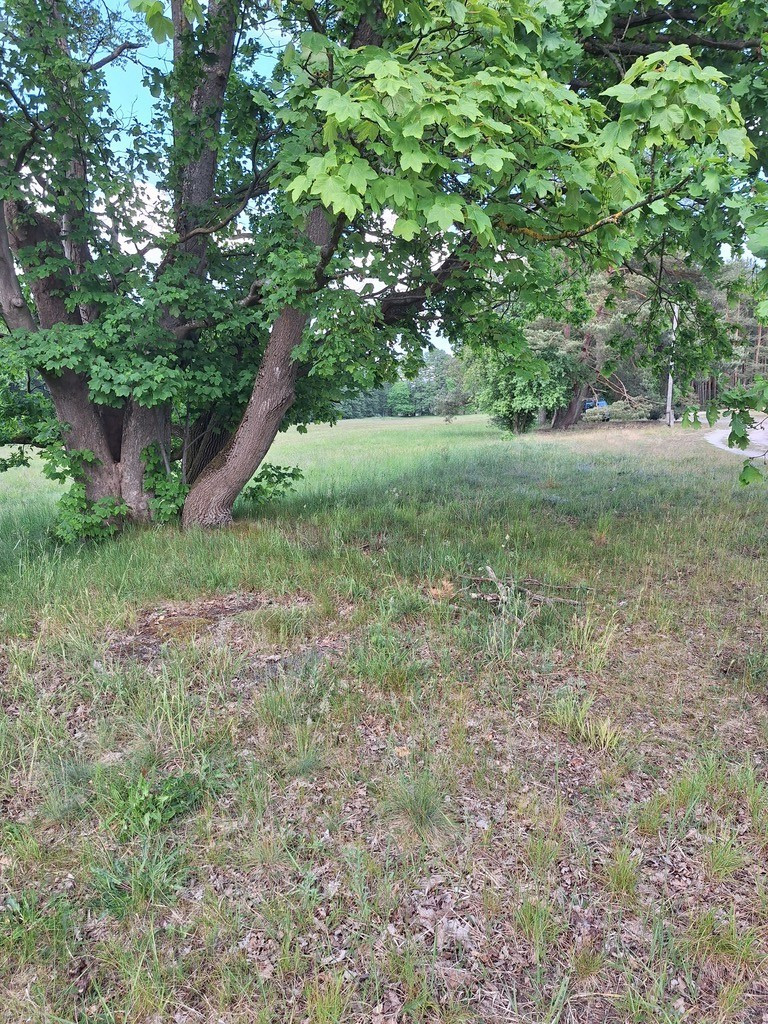 Działka Sprzedaż Tanowo Szczecińska 8