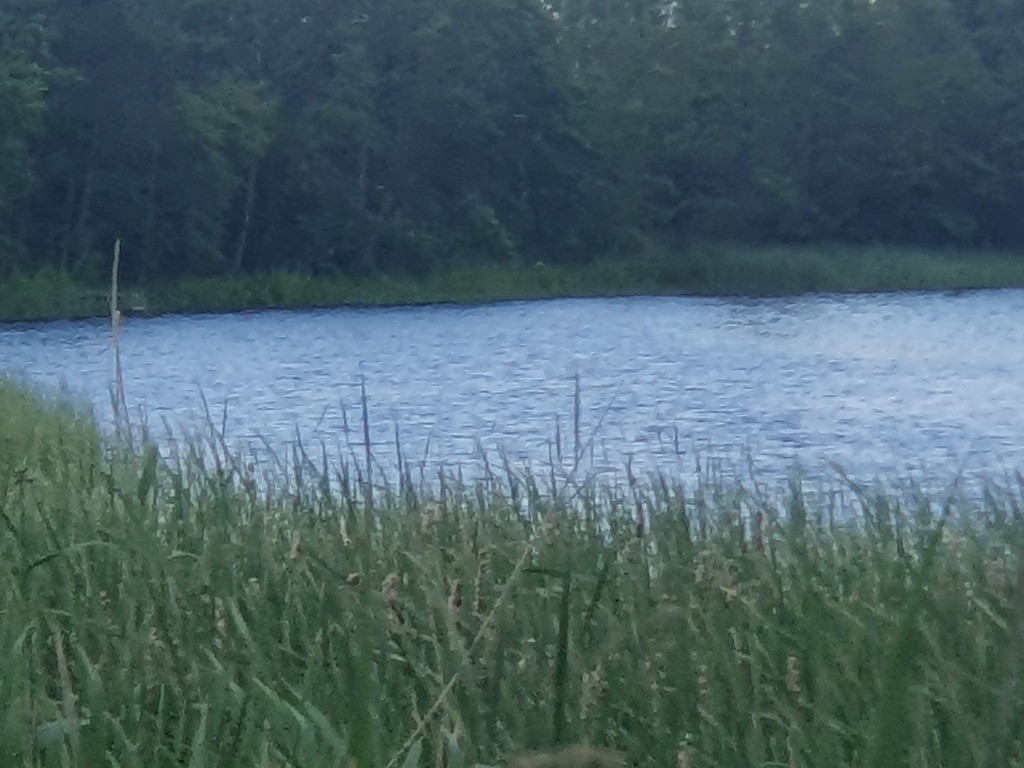 Działka Sprzedaż Zieleniewo 8