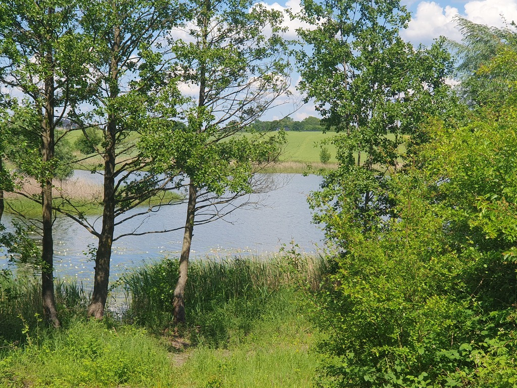 Działka Sprzedaż Zieleniewo 4