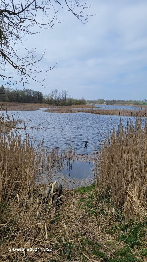 Działka Sprzedaż Zieleniewo 3