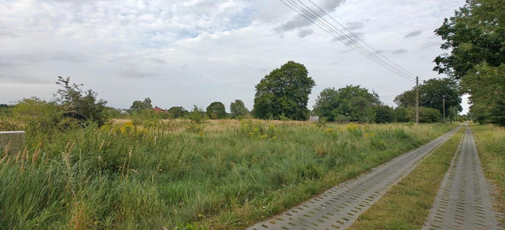 Działka Sprzedaż Białuń 4