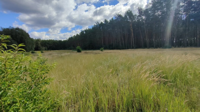 Działka Sprzedaż Komarowo