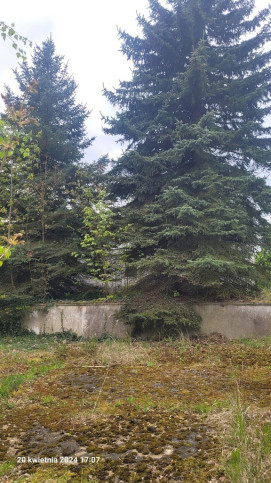 Działka Sprzedaż Recz Kolejowa 1
