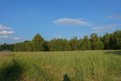 Działka Sprzedaż Grzepnica