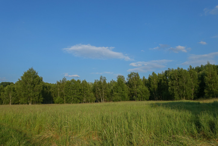 Działka Sprzedaż Grzepnica 4