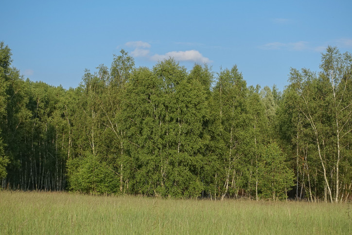 Działka Sprzedaż Grzepnica 7