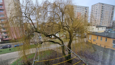 Mieszkanie Wynajem Szczecin os. Zawadzkiego-Klonowica prof. Krzysztofa Marlicza