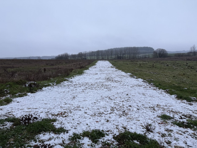 Działka Sprzedaż Stare Czarnowo 2