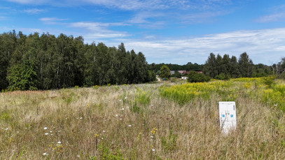 Działka Sprzedaż Gądno Zielona