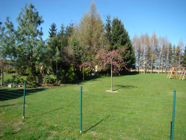 Obiekt Wynajem Kołbaskowo 22