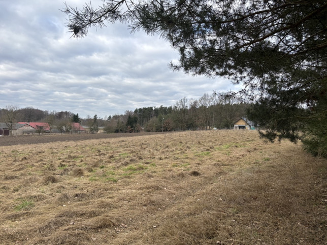 Działka Sprzedaż Kikorze 7