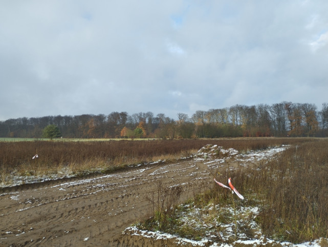 Działka Sprzedaż Dobropole Gryfińskie 3